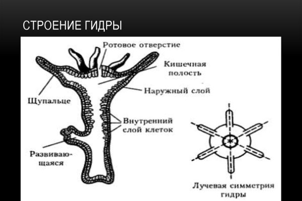 Кракен даркнет аккаунт
